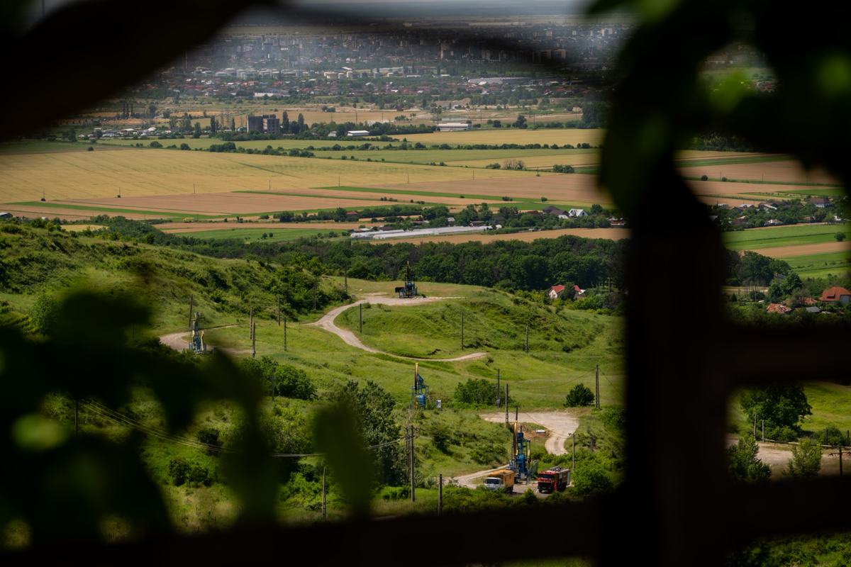 Câmpia văzută de pe deal, printre frunzele de viță